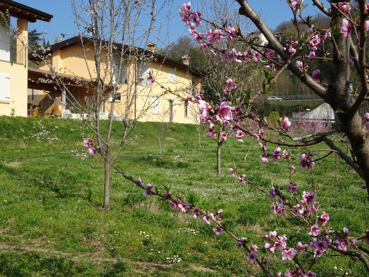 Cascina Legnago Bilocale A 6 Chilometri Da Salo' Apartment Villanuova sul clisi Bagian luar foto